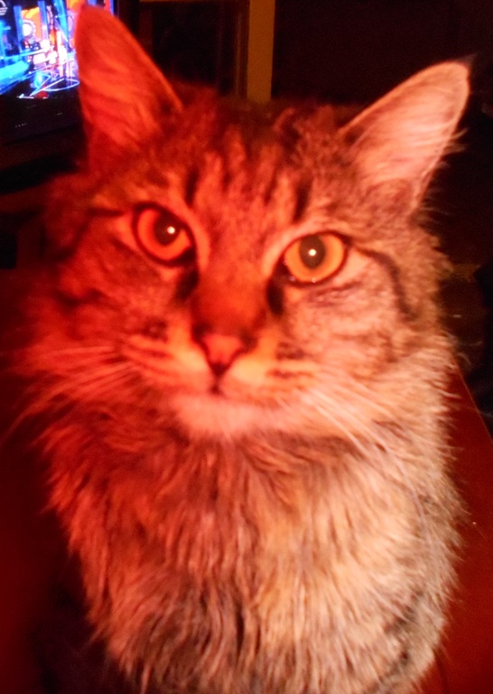 DSCN0856.JPG