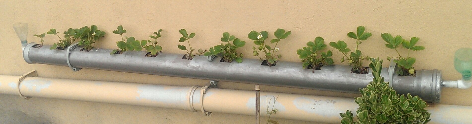 IMAG2789_1.jpg