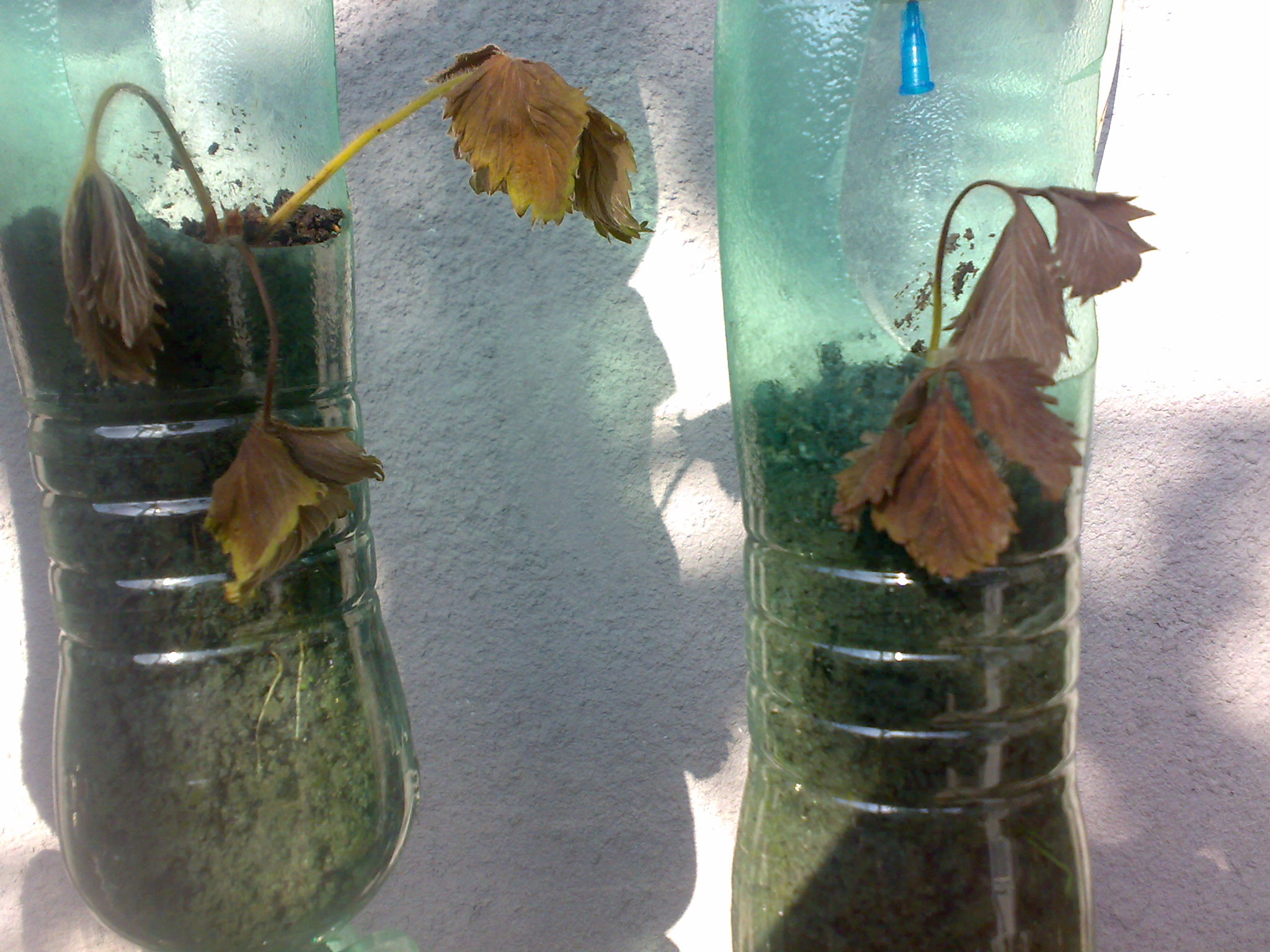 200520152244.jpg
