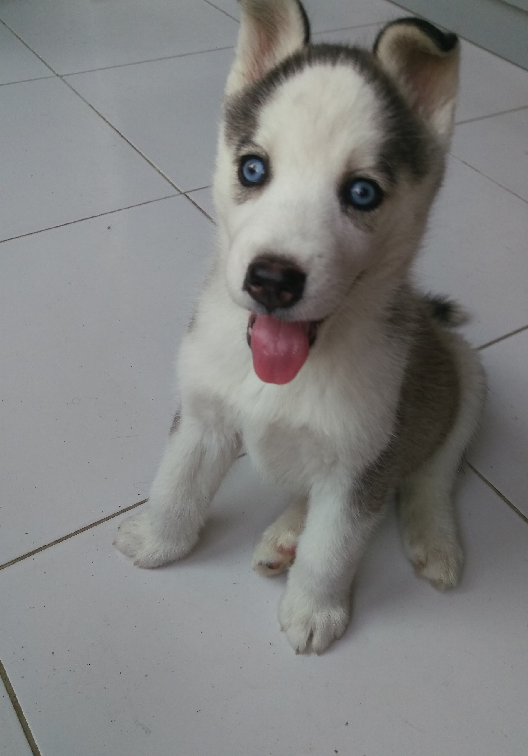 IMAG0099.jpg