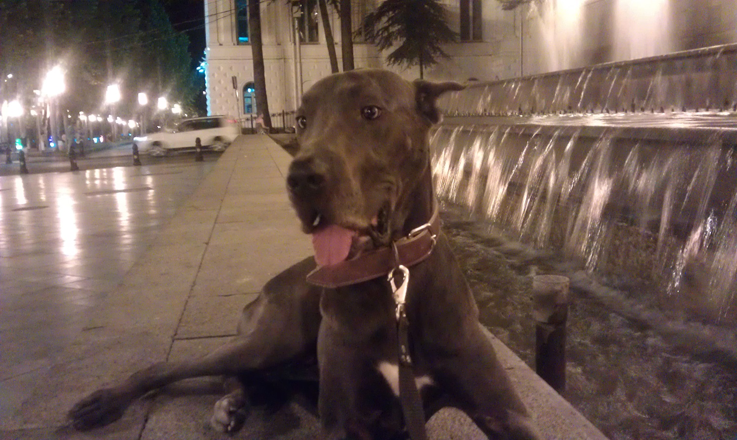IMAG0381.jpg