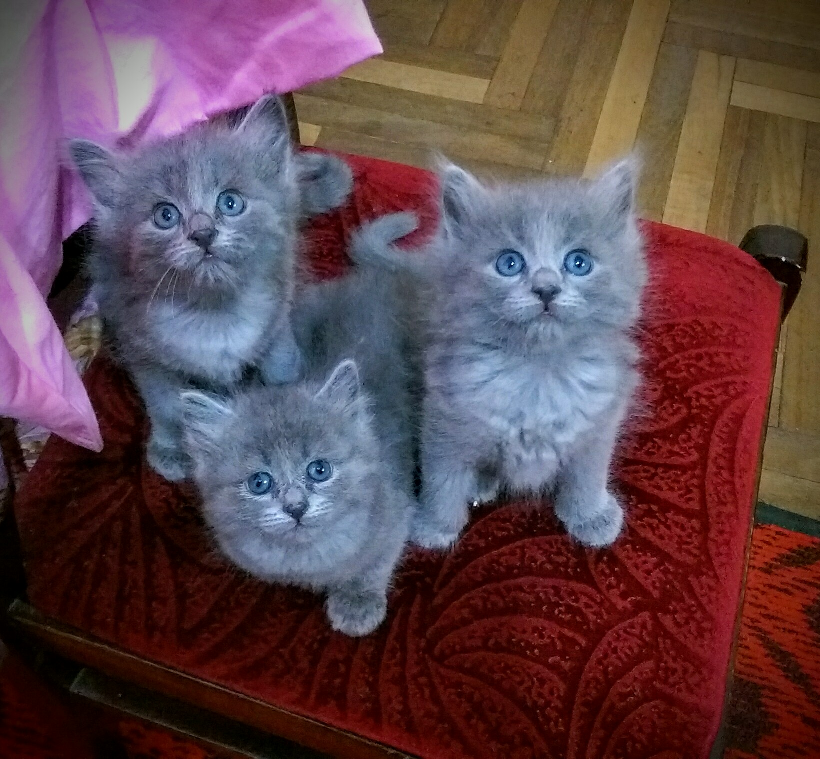 IMAG0589_2.jpg
