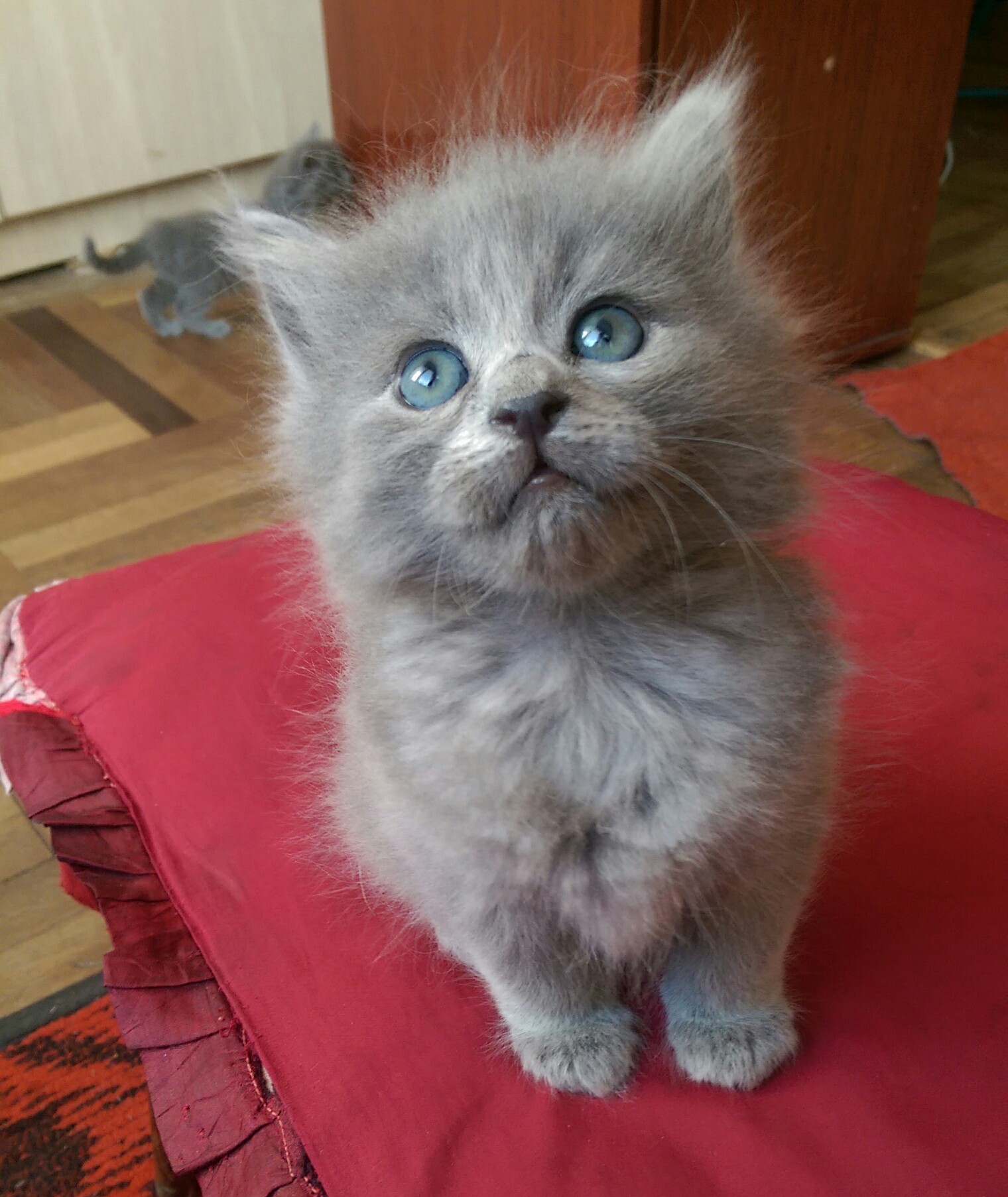 IMAG0631_2.jpg