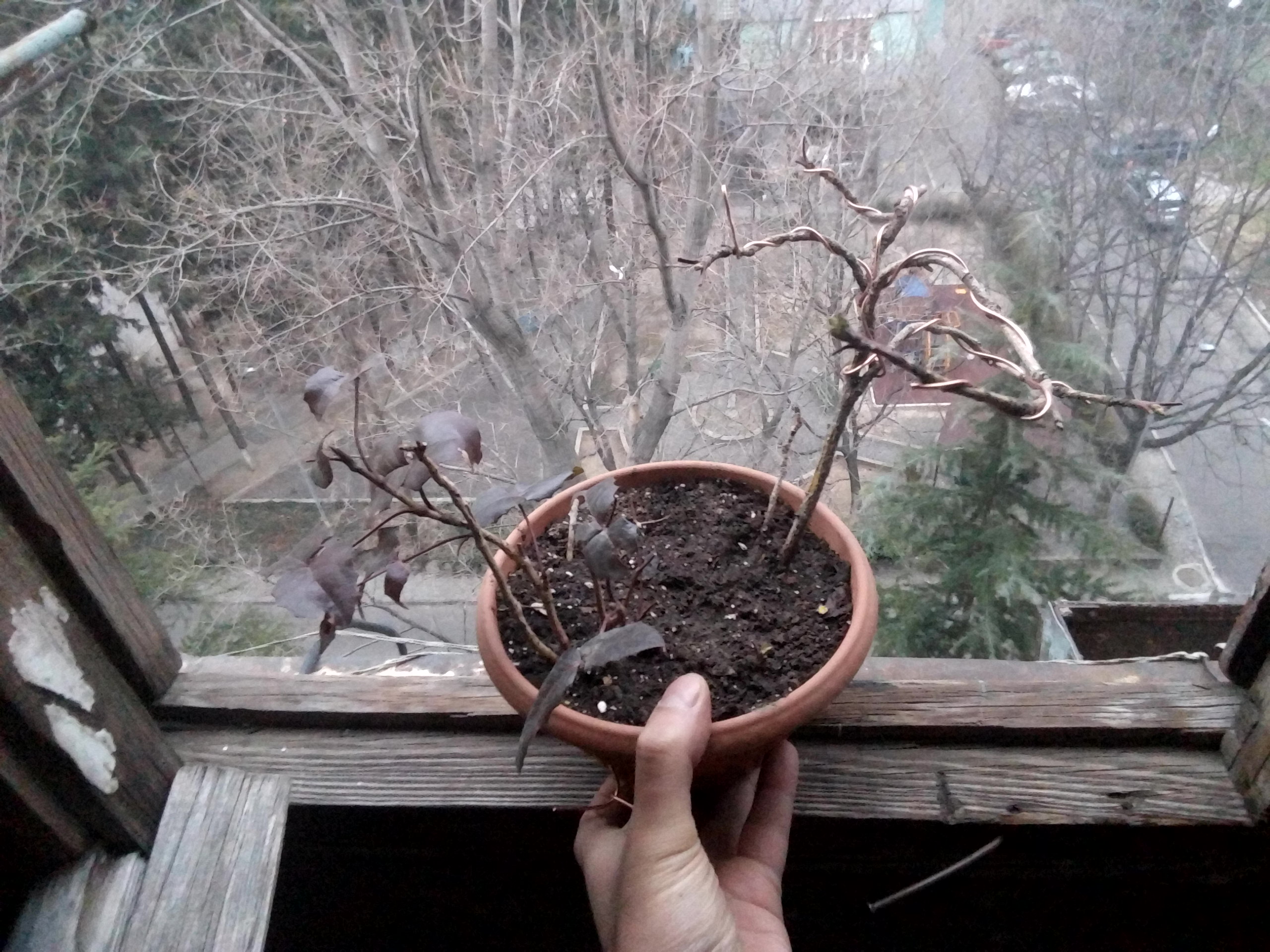 P_20160118_164600.jpg