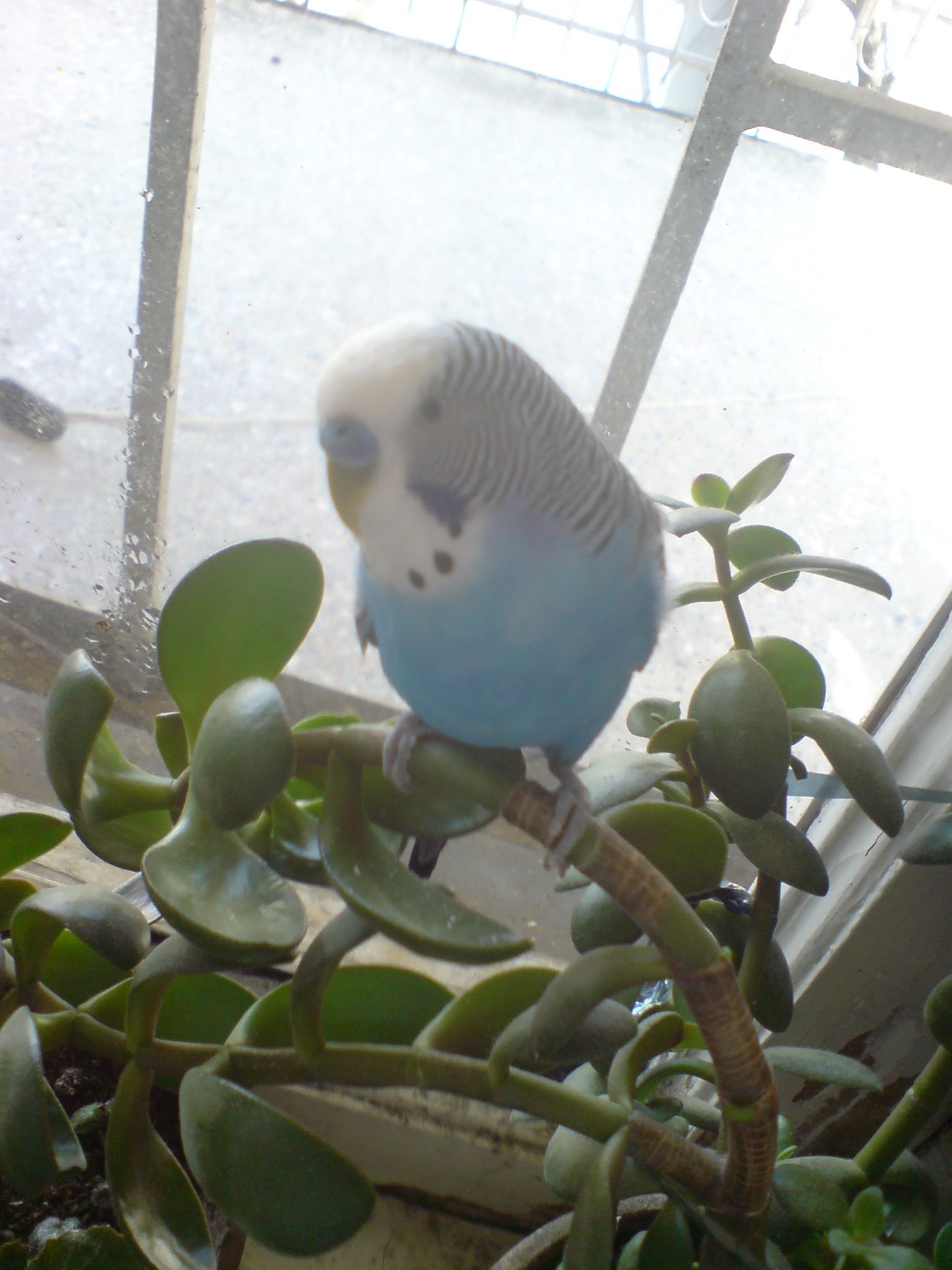 DSC00138.JPG