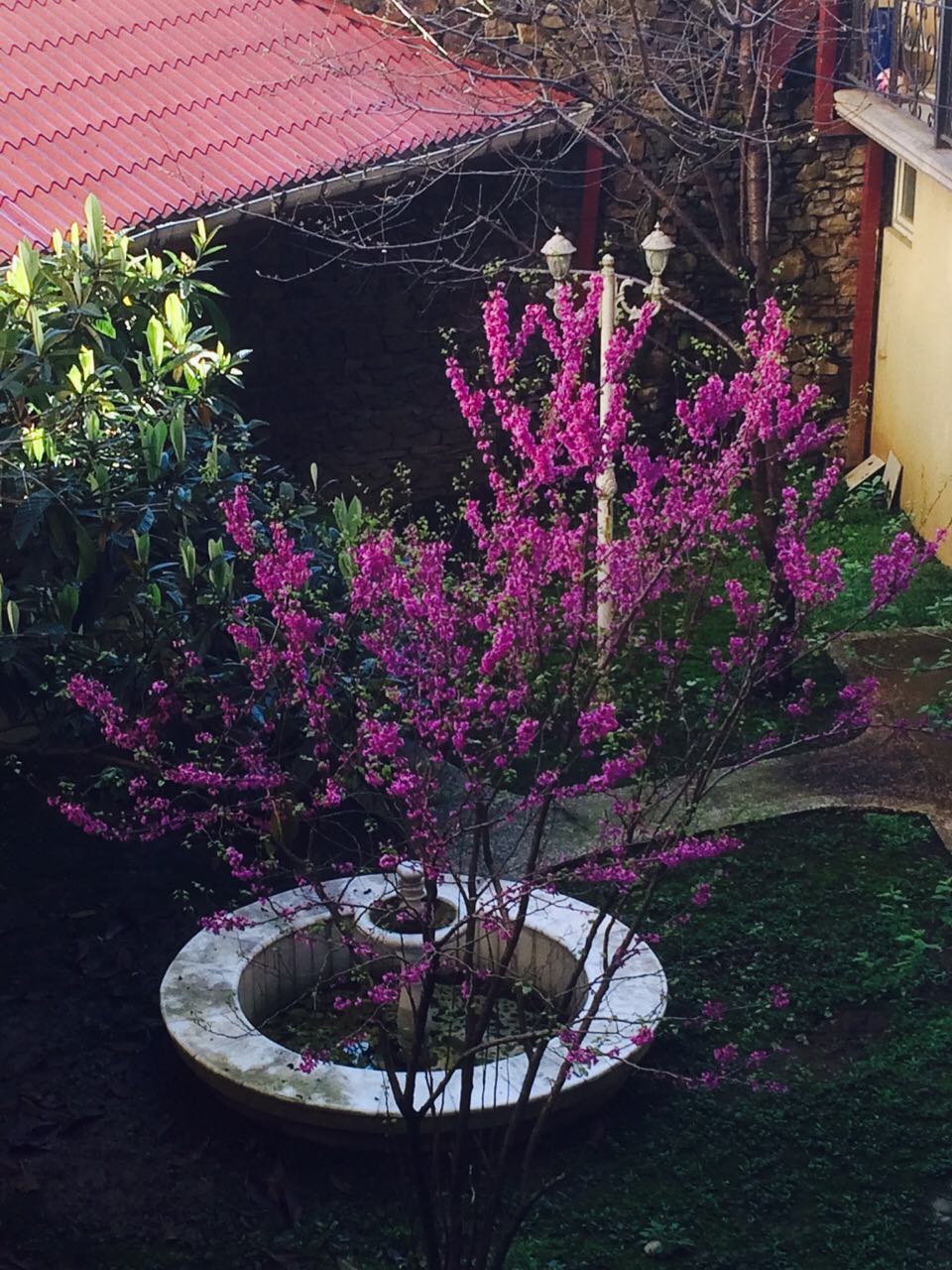 image_d6c39ce2e4a88b08127e560214e1a51e50269c41d1967cf93c7f2c317fbe5292_V.jpg