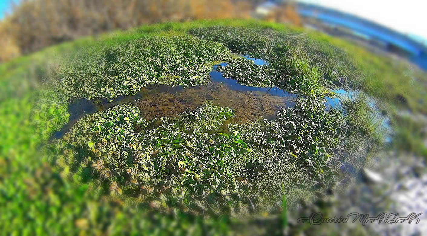 imageJMIK0GE4.jpg