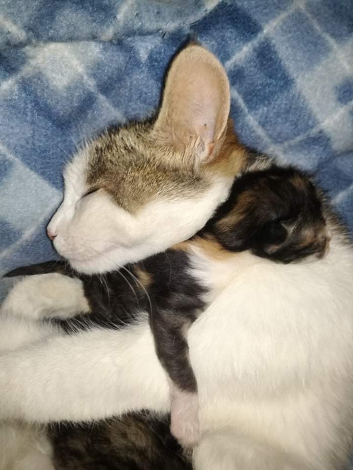 received_286583716077452.jpeg