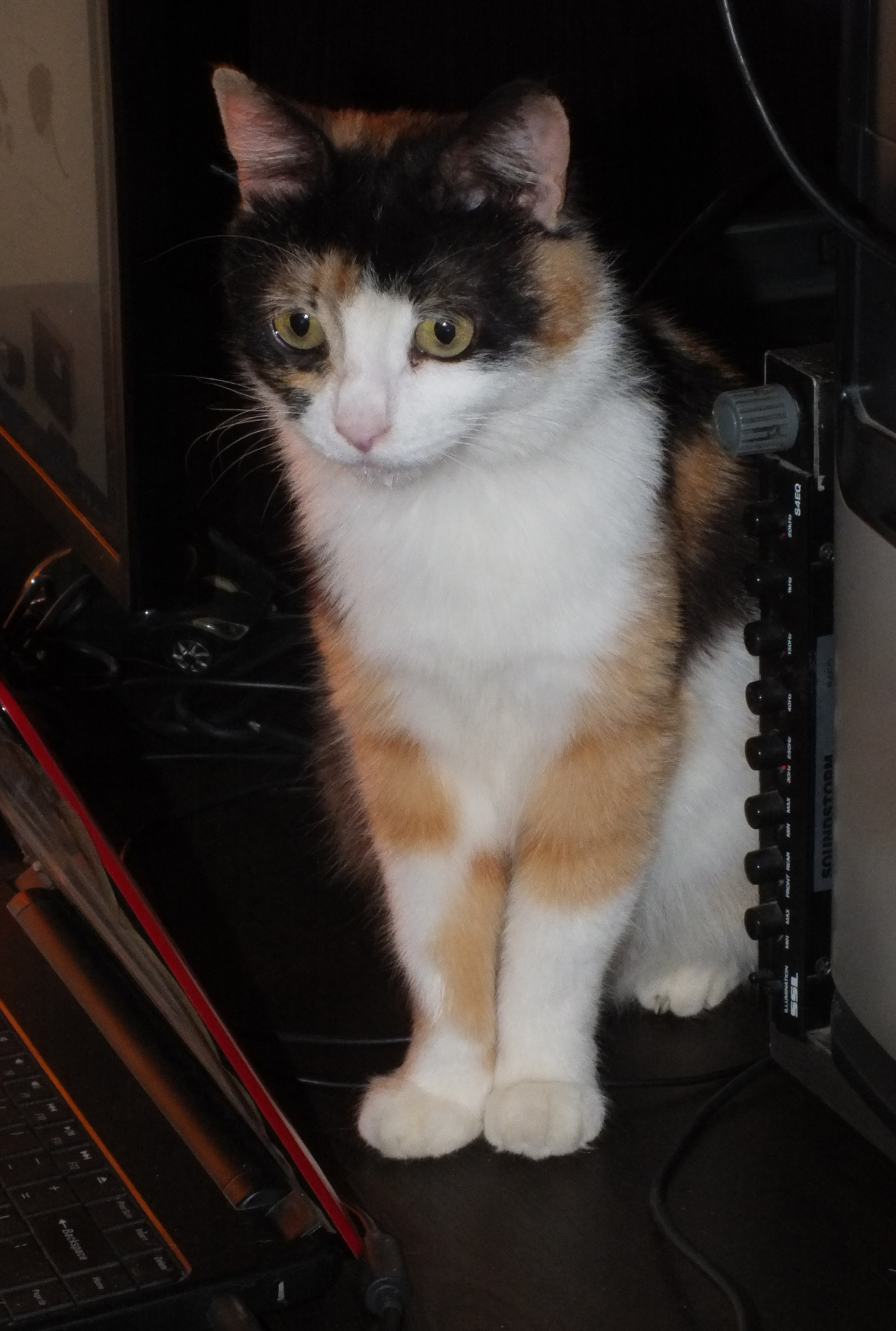 DSCF1183.JPG