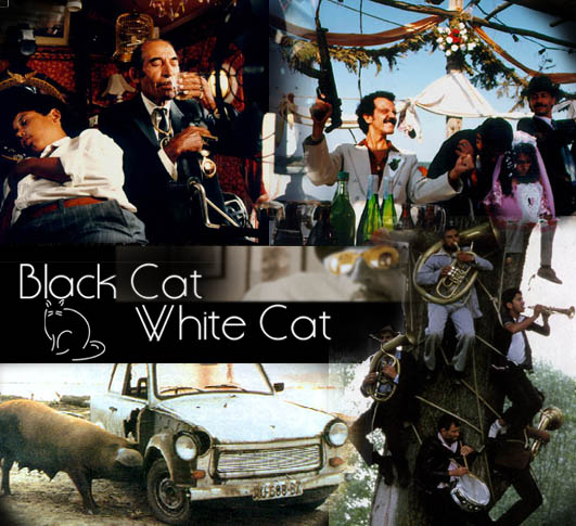 BlackCat_WhiteCat_1_.jpg