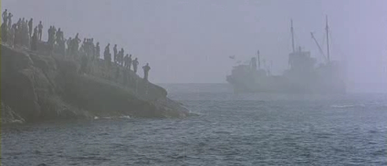 5068443.jpg