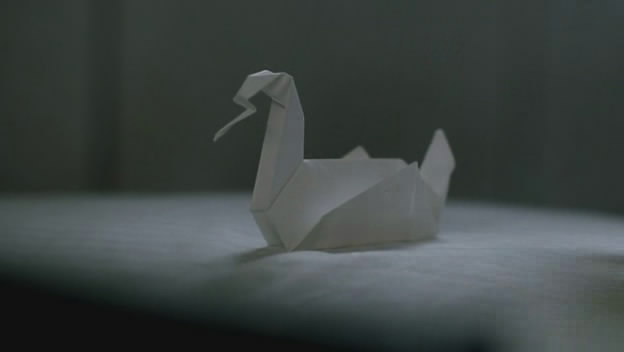 swan3jo.jpg