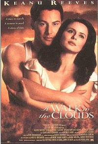 walkinthecloudsa2.jpg
