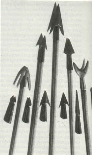 arrow_heads.jpg