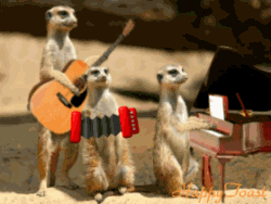 1189543A.gif