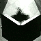 vincent_05.gif