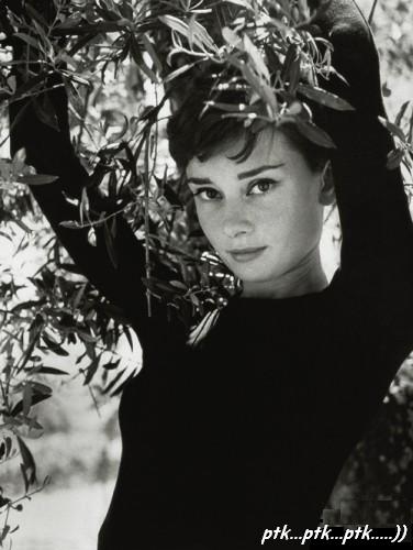 audrey.JPG