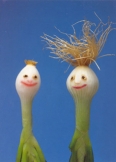 post_82_1206969058.jpg