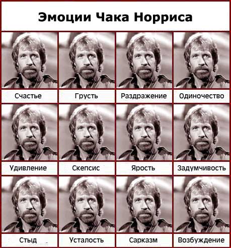 15915199wwwdruziru14353me1.jpg