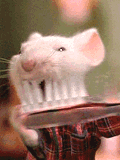 gifs.creep.ru.4_1_.gif