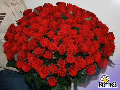 101_roza_1_element.jpg