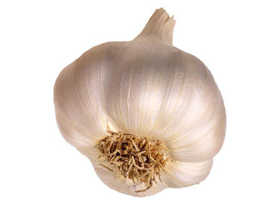 garlic.jpg