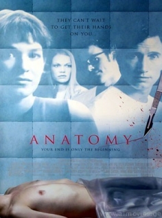 anatomie.jpg