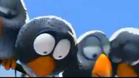 birds.JPG