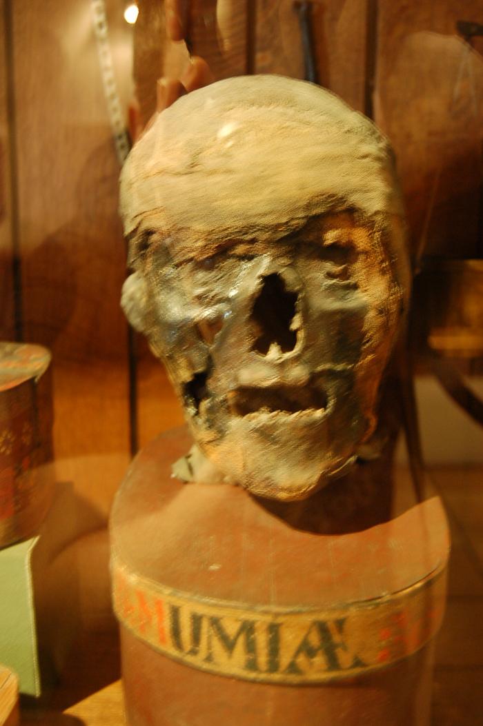 DSC_0217.JPG