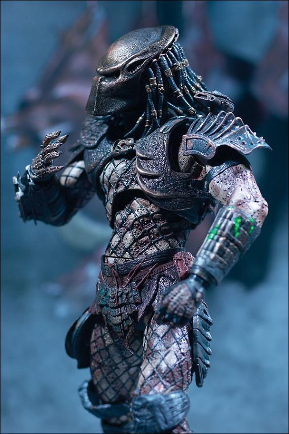 mm6_predator_photo_01_dp.jpg