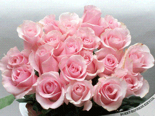 1255771494_13_flowers_03.gif