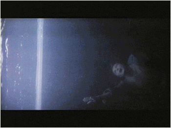 44.gif