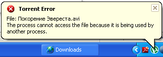 5345324535.jpg
