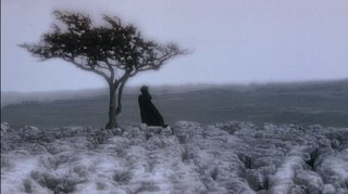 WH_1992_screencaps_wuthering_heights_7138804_320_179.jpg