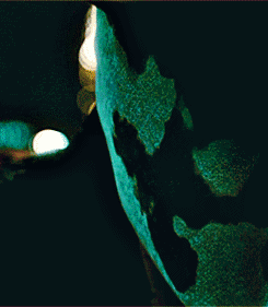tumblr_mcxhq6SBDn1rkqdauo2_250.gif