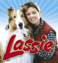lassie97.jpg