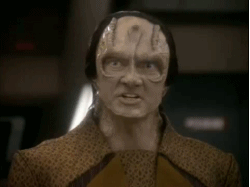 tumblr_lr7p61bfT11qe051zo1_250.gif