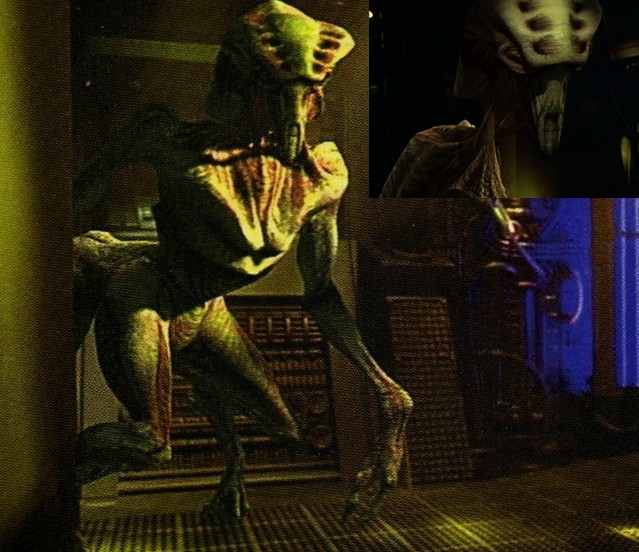 8472c.jpgSpecies_8472.jpg