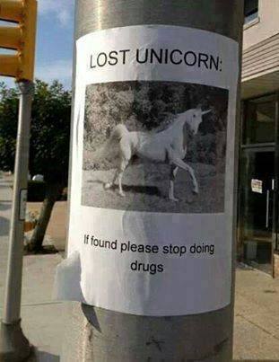 1011579_659113077486124_430671709_n.jpg