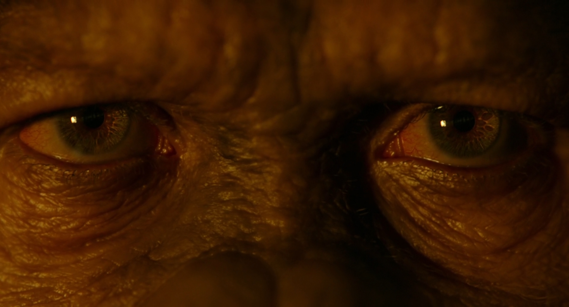 Dawn_of_the_Planet_of_the_Apes.mkv_snapshot_02.01.28__2014.10.30_05.12.13_.jpg