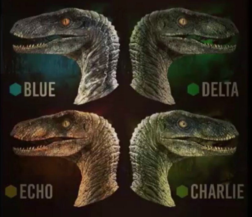 raptors.jpg