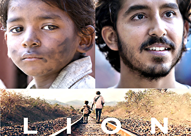 147_lion2.jpg