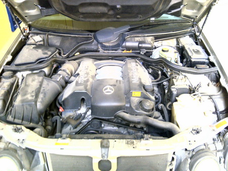 IMG_20111206_00493.jpg