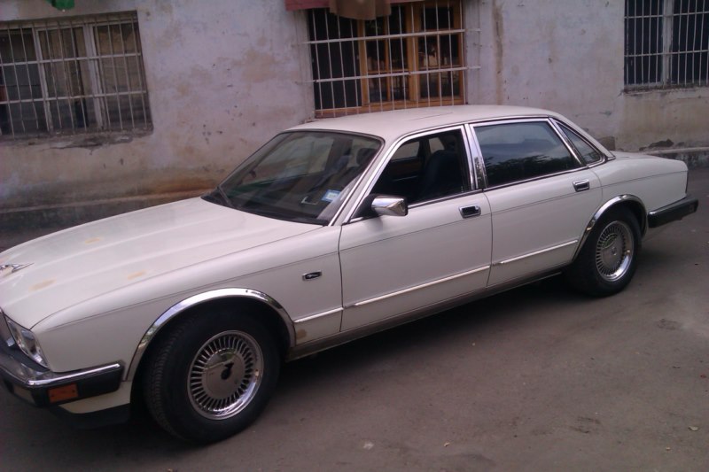 IMAG0027__800x600_.jpg