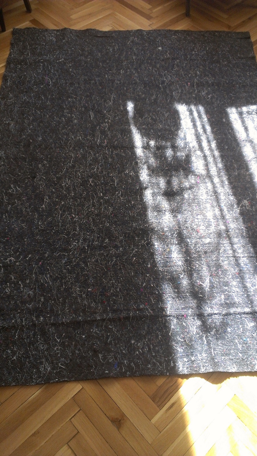 IMAG0445.jpg