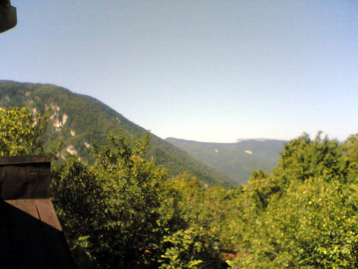 Image_238_.jpg