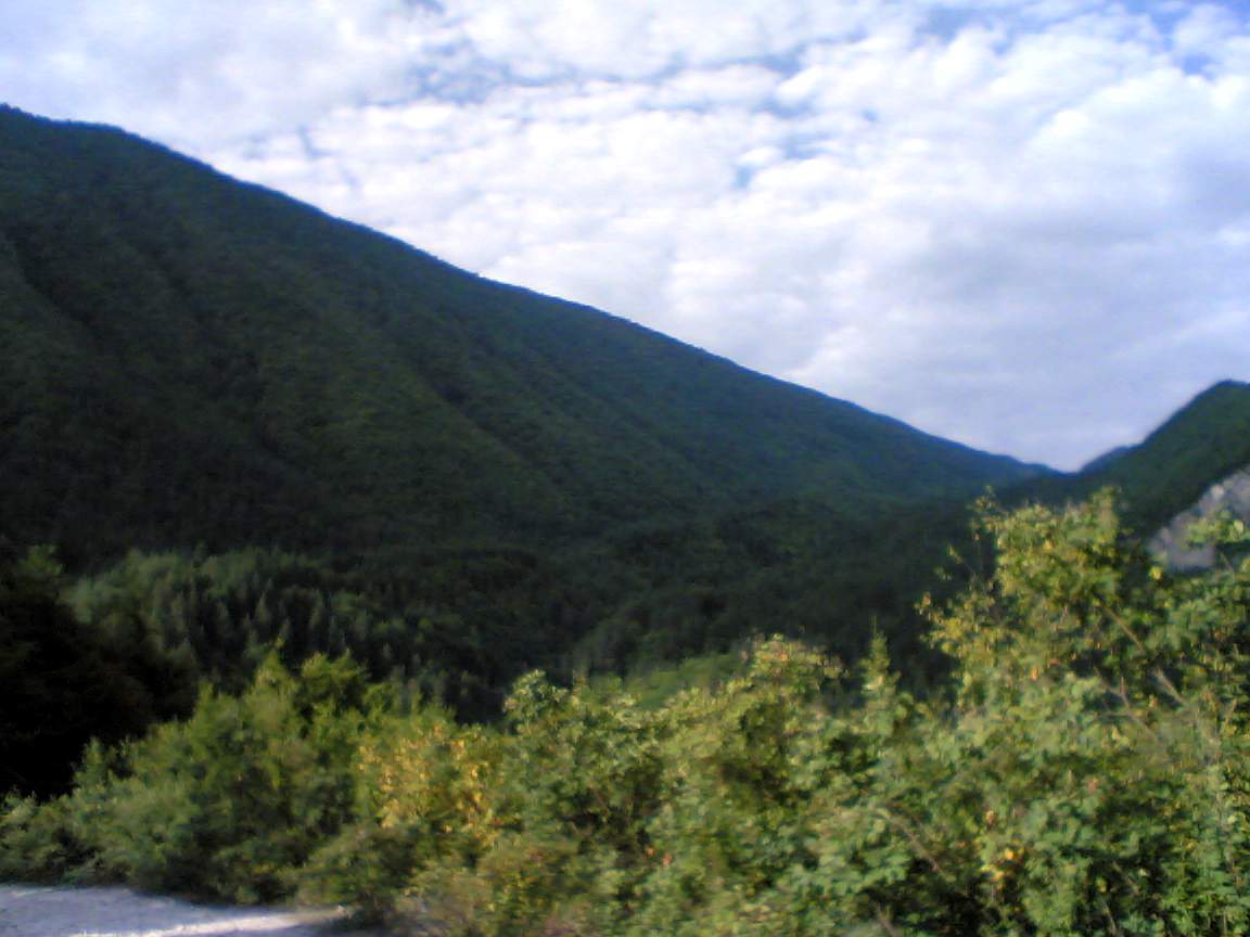 Image_242_.jpg