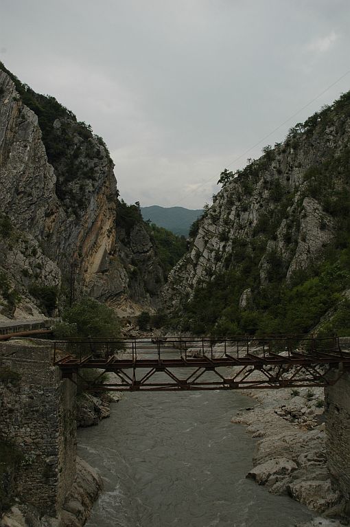 DSC_0331.jpg