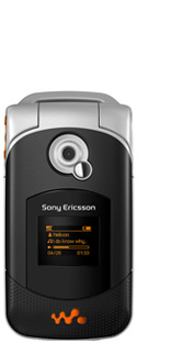 se_w300i.jpg