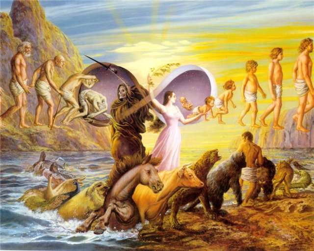 _Apes_Angels__Brzola__eshmaksa_da_angelozs_shoris_sicoscxlistvis.jpg
